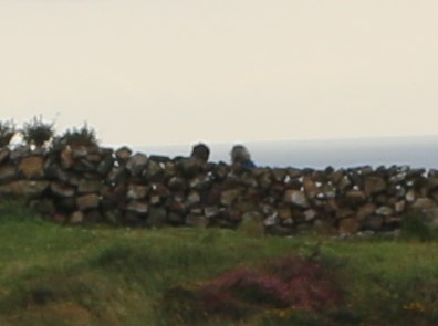 Trump’s Ulster hors d’oeuvre – Rathlin Island to be handed over to USA as part of post Brexit trade deal&nbsp;sweetener