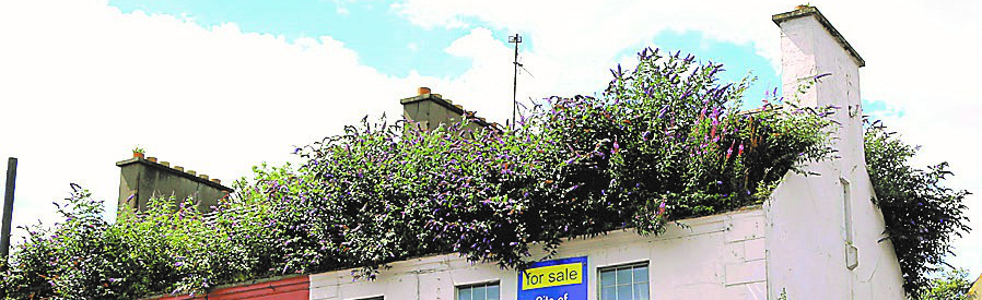 Ulster-Scots ‘Mens Sned’ initiative wins all Ireland&nbsp;award