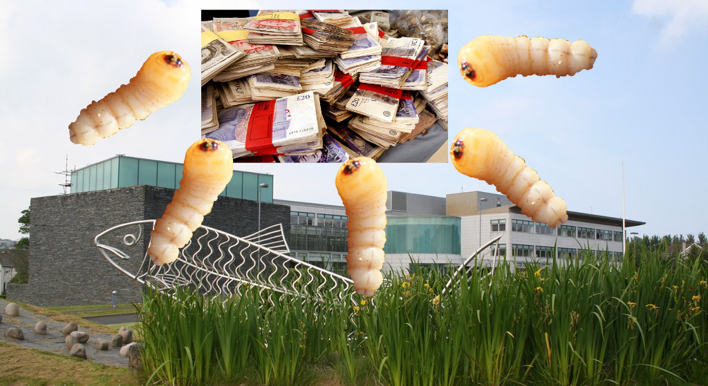 BREAKING: Mutant money eating woodworm blamed for Causeway Coast and Glens Council&nbsp;super-debt