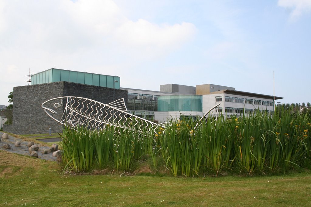 President Trump commends Causeway Coast and Glens Council after rate struck amid ongoing financial&nbsp;crisis